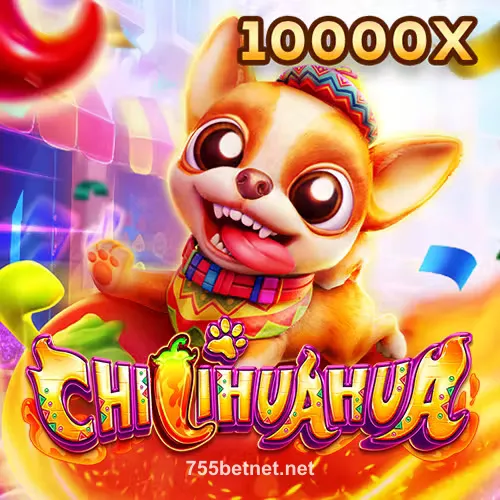 Fachai Chihuahua Portrait